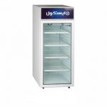 خرید یخچال ایستکول مدل TM-9515 بی همتا
