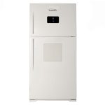 یخچال فریزر پلادیوم مدل رومی